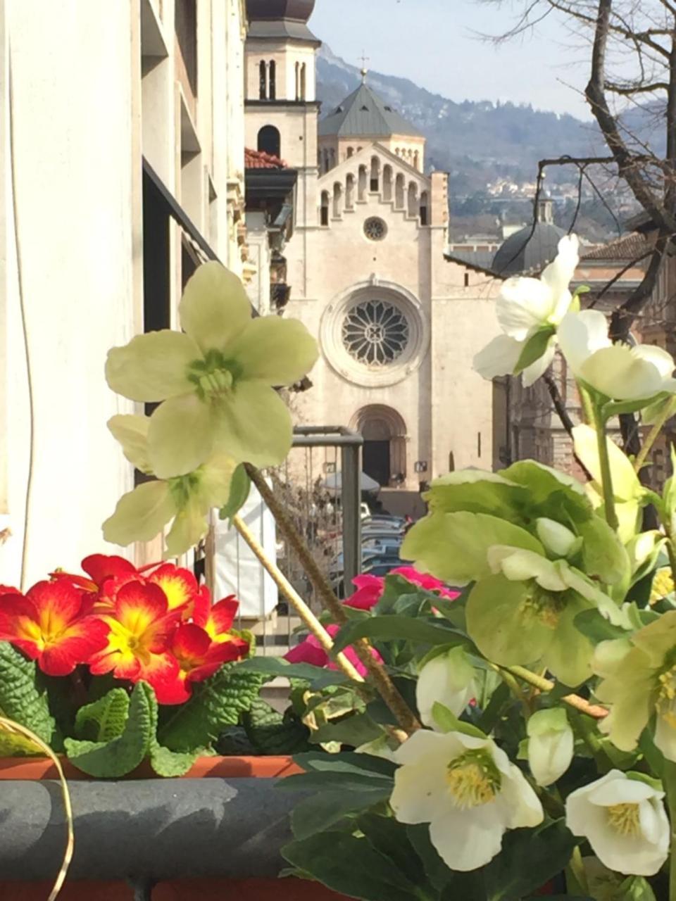 B&B Homer Trento Kültér fotó